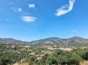 BANYULS-SUR-MER : Magnifique T2 avec terrasse et garage - FR-1-309-476